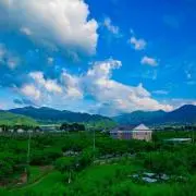 Nagiの画像