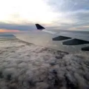 Mayの画像