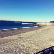 僕