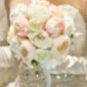 tomotomo