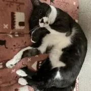 オレノアmamaの画像