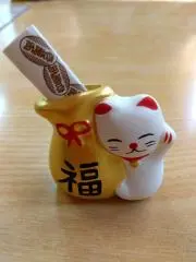 こゆきの画像
