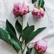 凜ママ♡