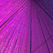 nanacoの画像