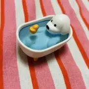 Nini断捨離中の画像