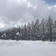 y⸌⍤⃝⸍