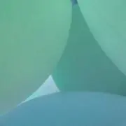 yndp