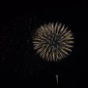 あおい