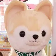 ひなこの画像