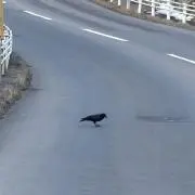 おならマン