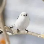 youの画像