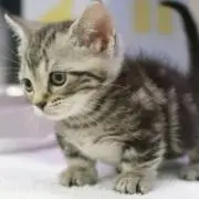 K♡Sの画像