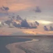 v.の画像