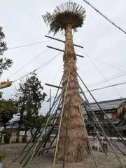 ます美の画像