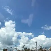 ロンの画像