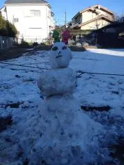 キンタロウ