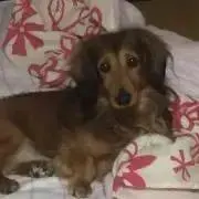 フーワ