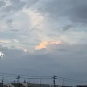 わらびーの画像