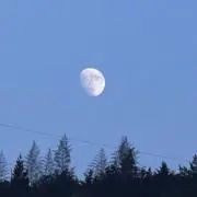 虹