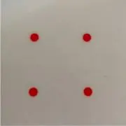 TYの画像