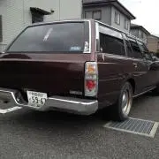 パラダイスキング
