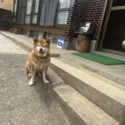 まゆみんの画像