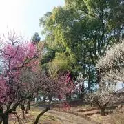 けいの画像