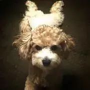 まっつ