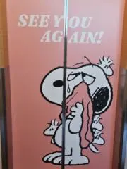 ケイの画像