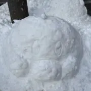 Ccの画像