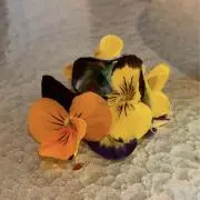 もちだりん