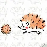 みゆ