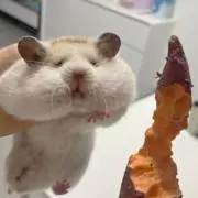 panpakapanの画像
