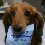 ひとやんの画像