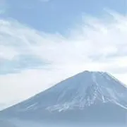 M.Fの画像