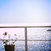 ミチ