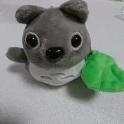 けーちゃんの画像
