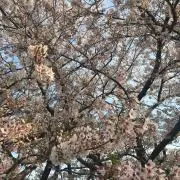 HB プロフ必読の画像