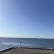 こ　土日発送の画像