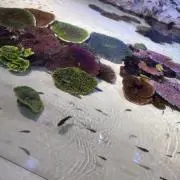 グラスの画像