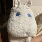 ももの画像