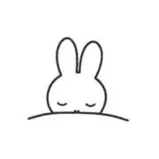 ※の画像