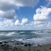 きこの画像