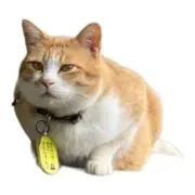 Mistyの画像