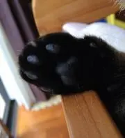 chuutarouの画像