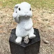 りさの画像