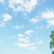 もっちの画像