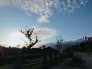 カービィかーちゃんの画像