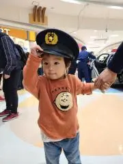 のぶたん