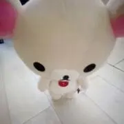 なすびの画像